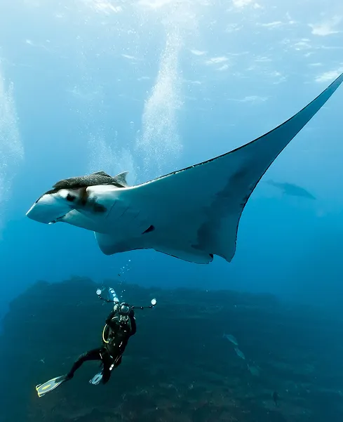 Create unforgettable experiences